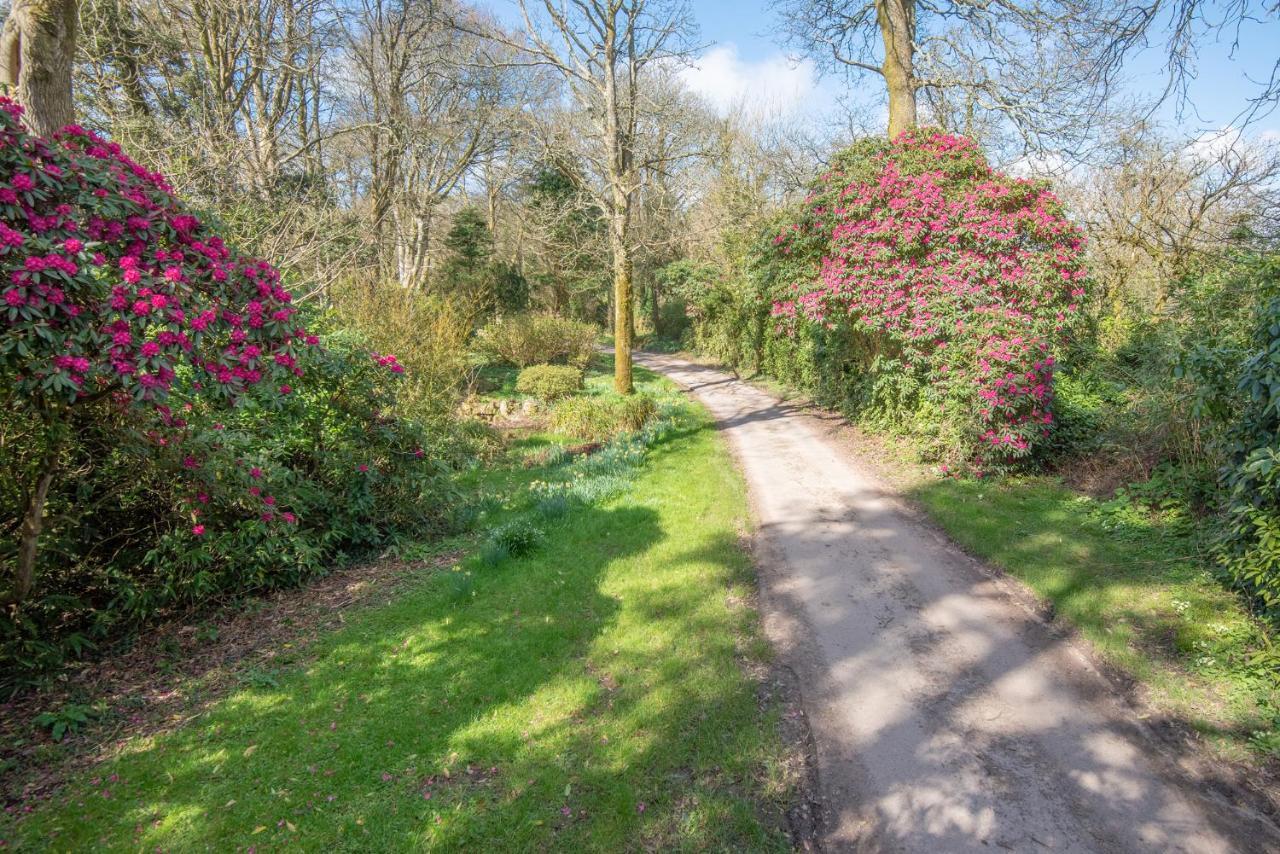 Doolans Villa Falmouth Dış mekan fotoğraf